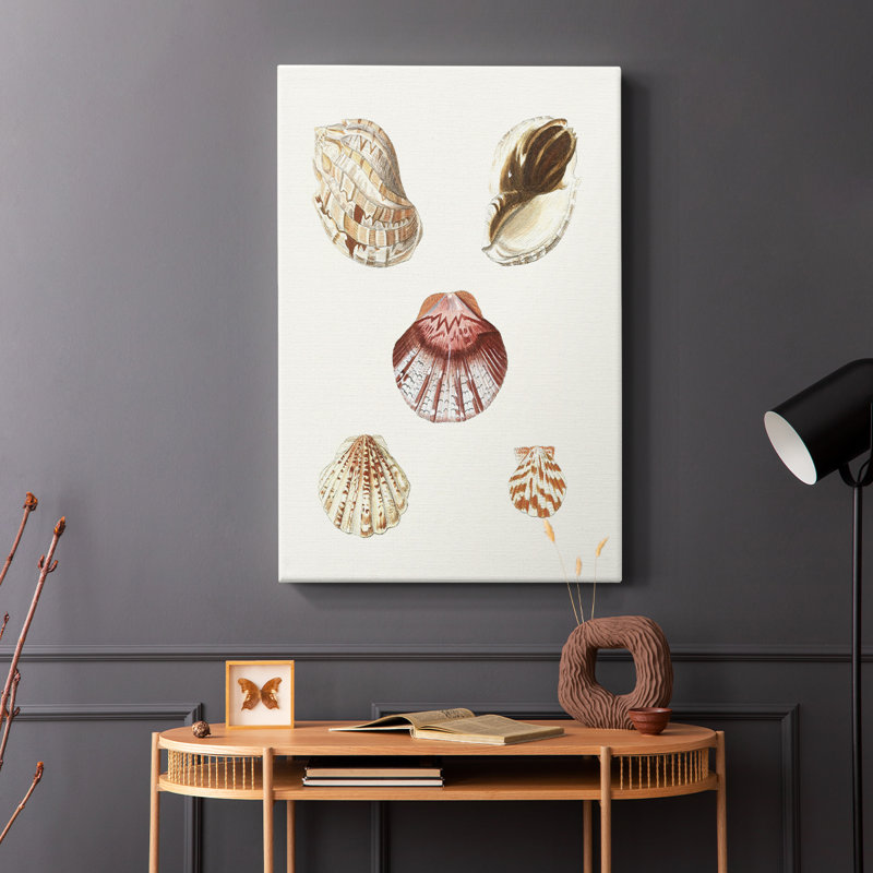 Coquillages pastel en coquille Knorr, H 12 po x l 8 po