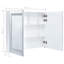 Allentown 80 mm W 68 mm H Surface Framed with Mirror and 3-1342156829