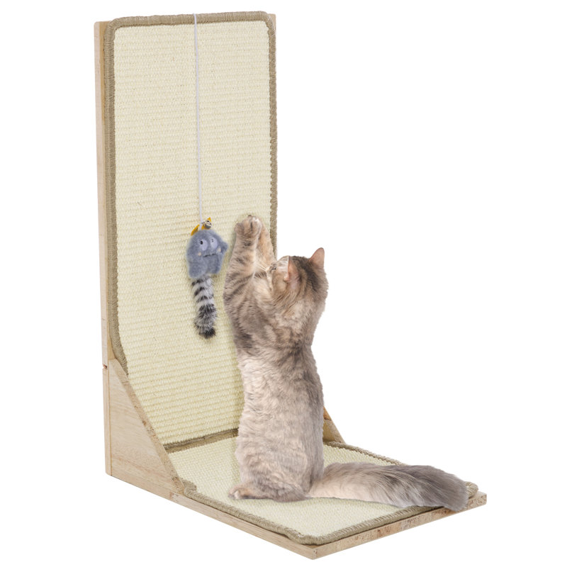 Cat Scratch Toy