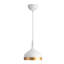 Luminaire suspendu 1 lumière Dash-1880057992-1880057999