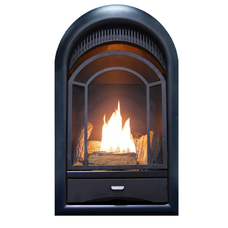 ProCom Dual Fuel Ventless Gas Fireplace Insert - Arched Door, 10,000 BTU, T-Stat Control - Model# PCS100T