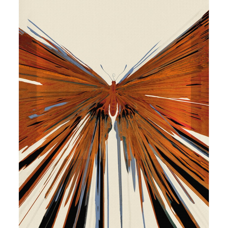 Butterfly Boom 1 Print by Todaro, Katie, Black Single Picture Framed, 48'' H x 41'' W