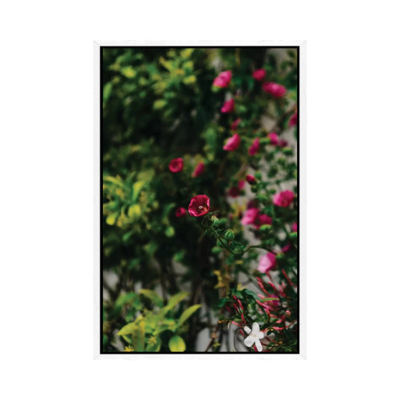 Positano Blooms IV by Bethany Young - Print on Canvas, 101.6cm H x 66.04cm W x 3.81cm D, White Framed