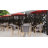 6.5 ft. H x 8.5 ft. W Laser Cut Metal Privacy Screen