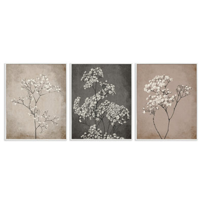 Ensemble de 3 reproductions d'art sur toile Stupell Industries Botanical Baby's Breath Herbs par Ros Ruseva