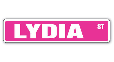 Lydia Street Sign Heavy Duty Plastic 6" X 24"