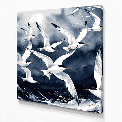 Art mural, oiseaux, sterne arctique gris