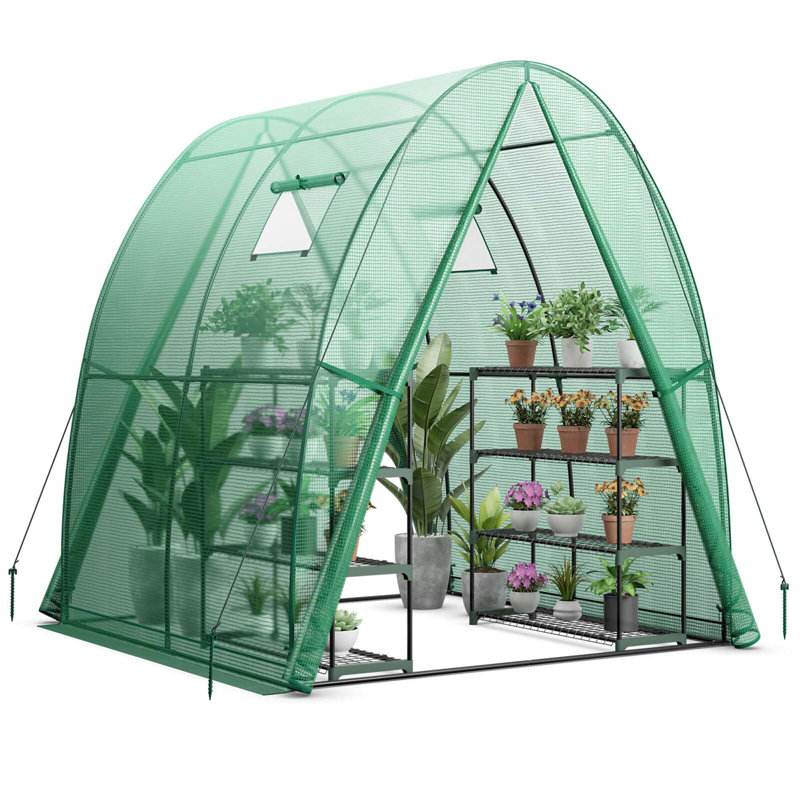 6' W x 6' D Greenhouse, Green