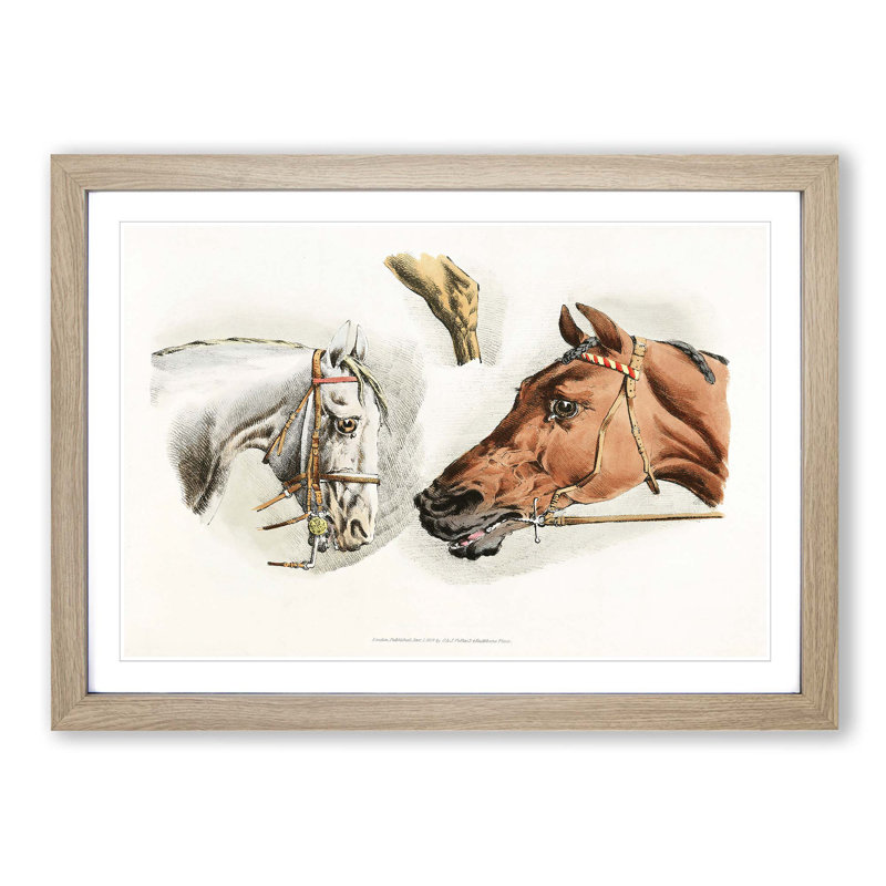 Illustrations of Horses by Henry Alken - Picture Frame Painting Print on MDF, Oak Framed, 48cm H x 65cm W x 2cm D