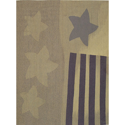 Tapis gris en laine tissé à plat 6x8