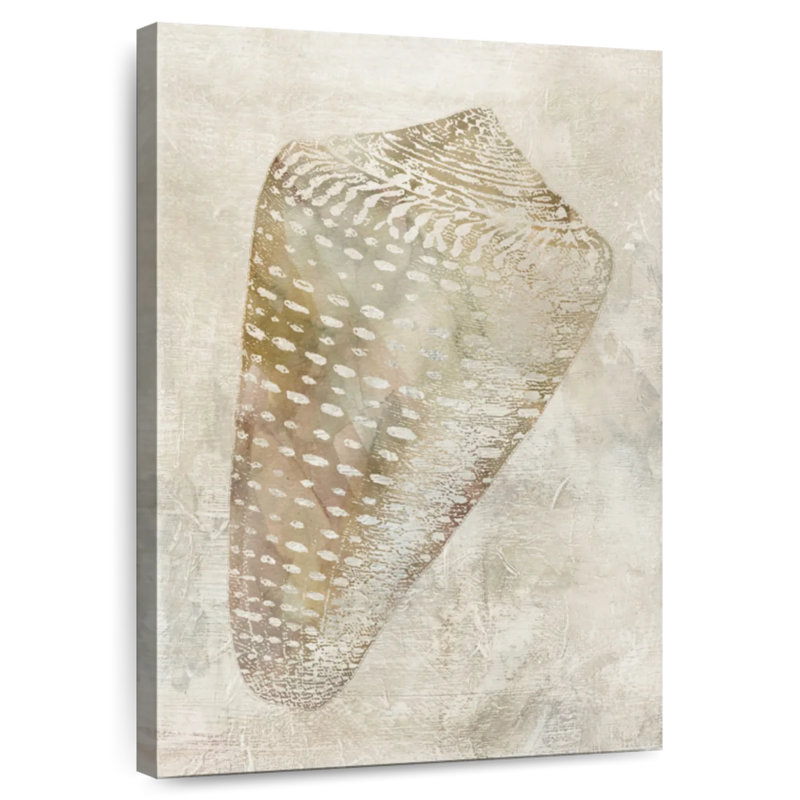 Aletra Seashell Illusion II, 45" H x 30" W
