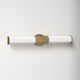 Belden Single Frosted Dimmable LED Bath Bar