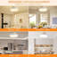 Ceiling Fan with LED Lights
