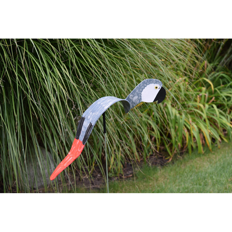 Art de jardin perroquet gris royal africain