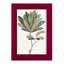Fall Foliage VI, reproduction d'art encadrée-90582661-90582662