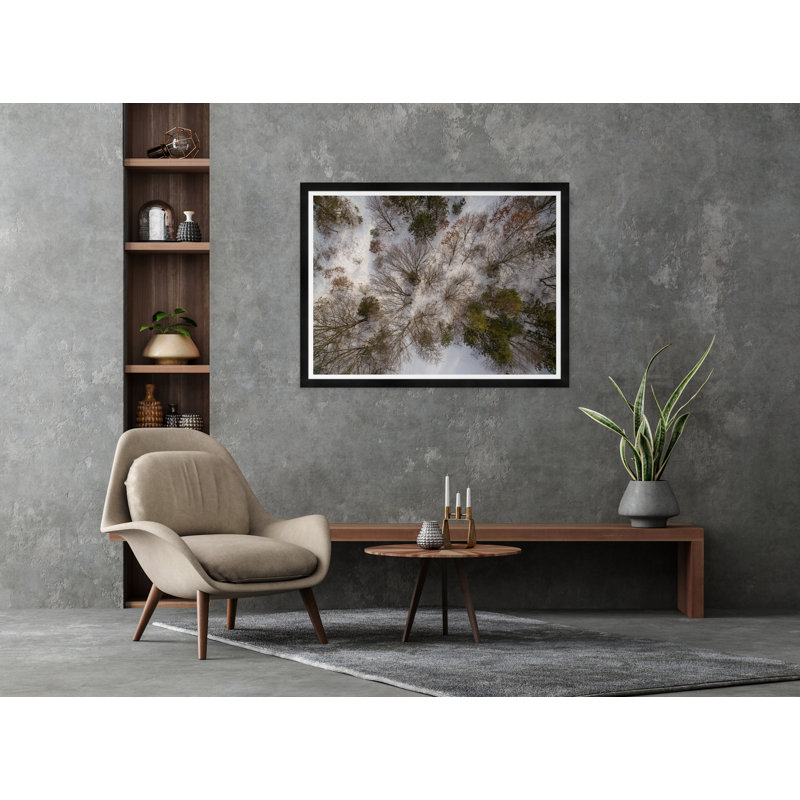 Tree Tops I Print by Tim Klein