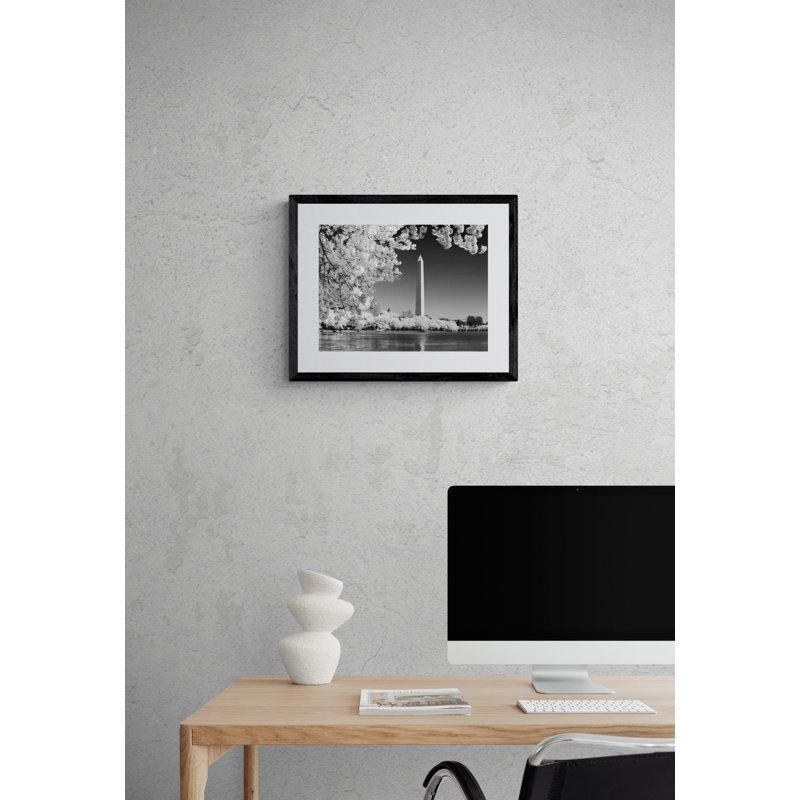 Cherry Blossoms I Print by Robert Dodge, Black Framed Paper, 17.2" H x 21.2" W