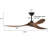 Bria 59.8'' Ceiling Fan