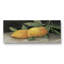 Zesty Lemons II - Toile tendue avec châssis - Prêt à accrocher-35821805