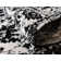 Ortilio Oriental Rug