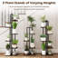 Plant Stand