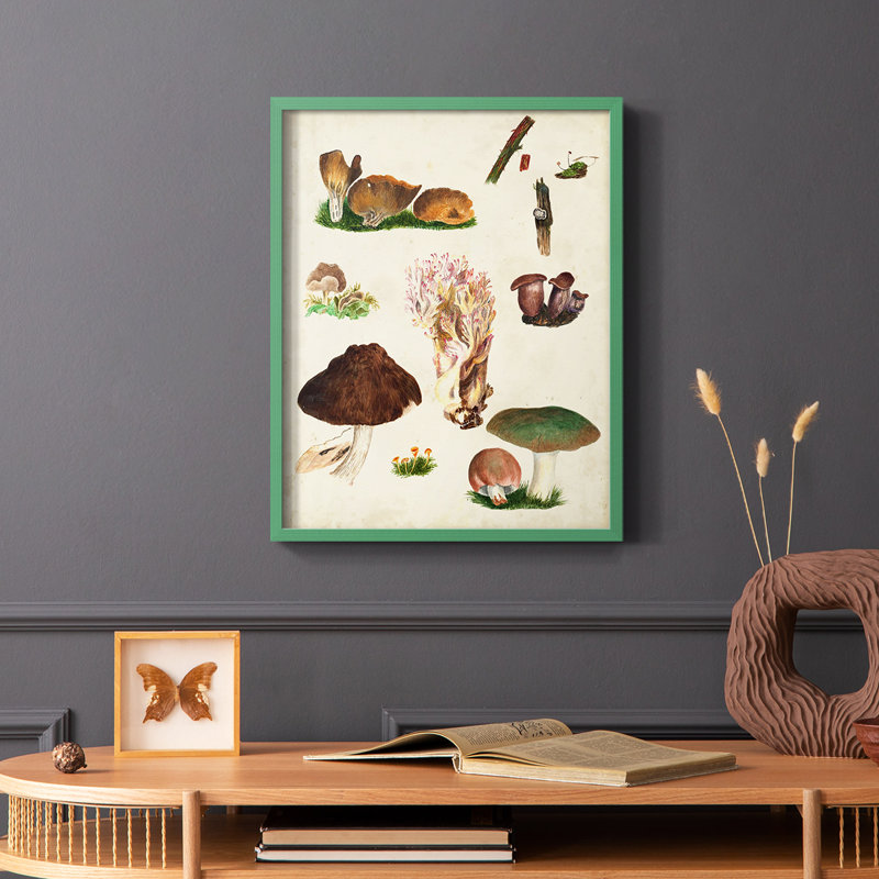 Reproduction encadrée Mushroom Species IX - bois massif, Vert, H 10 po x l 8 po