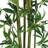 Bamboo Silk Plant Tree