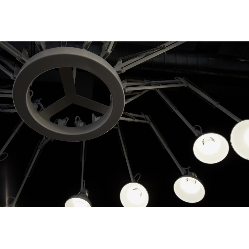 Dear Ingo 16 - Light Chandelier, Black
