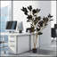 Simulé mauve noir pot de plante d'intérieur décoration de la maison feuilles d'arbre de fer Bonsaï décoration de la maison deux couleurs 180 cm 1 Pcs / ensemble