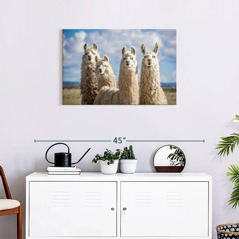 Fluffy White Llamas, 8" H x 12" W