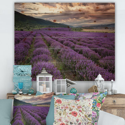 " Lavender Field At Dawn I "