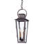 French Quarter 2 - Light LED Outdoor Hanging Lantern