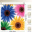 Rideaux de douche colorés Gerbera Daisies, 71 x 71