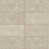 Elegant Beige