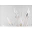 Blossom 24 - Light Chandelier-433135492