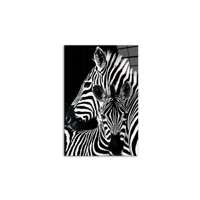 "Zebra I" By Art Studio Artopweb 80×53 Cm CrystalArt Acrylic Glass Effect, Lightweight Ready To Hang - No Frame Print on Plastic / Acrylic