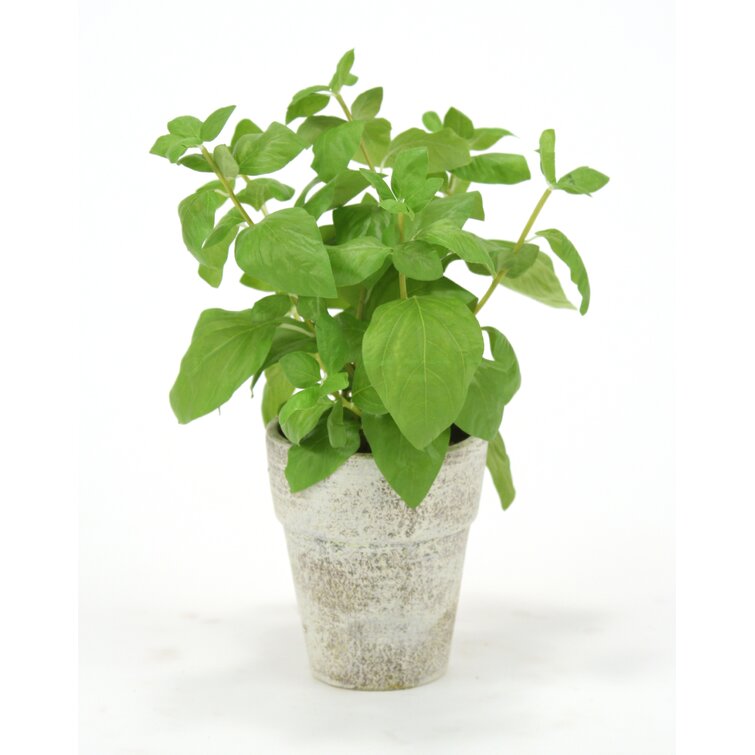 15'' Faux Basil Plant in Ceramic Pot