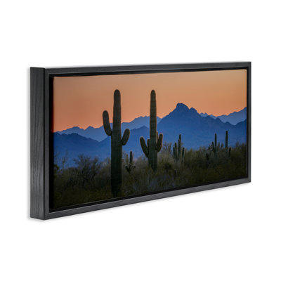 Contrasting Desert Sunset Framed Floater Canvas Wall Art by Marty Hulsebos
