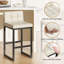 Counter Stool with Metal Frame-1813726461