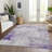 Machine Washable Indoor/Outdoor Claudian ACN1673 Lavender Rug-104372640