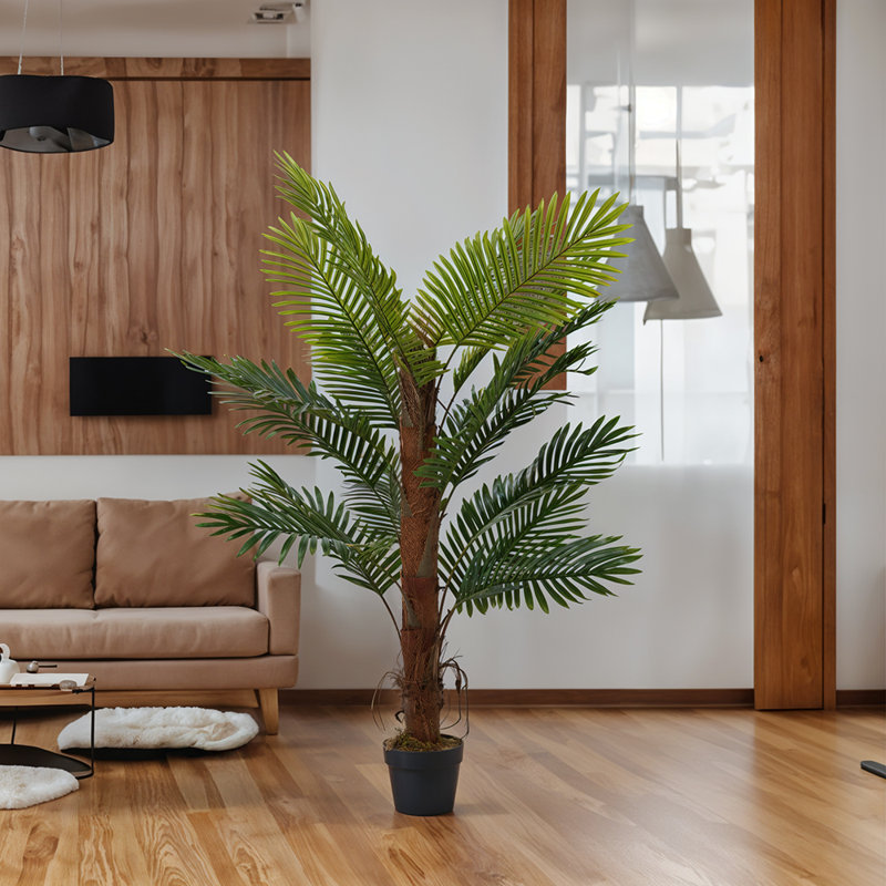 Plant, 160cm H x 80cm W x 80cm D