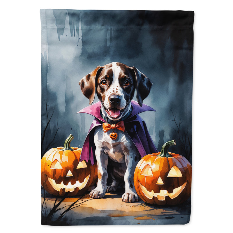 Drapeau de jardin chiot Halloween, Braque allemand à poil court