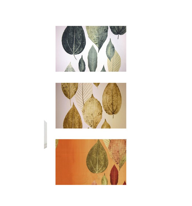Poppy Polyester Floral Rectangle Placemat, Terra