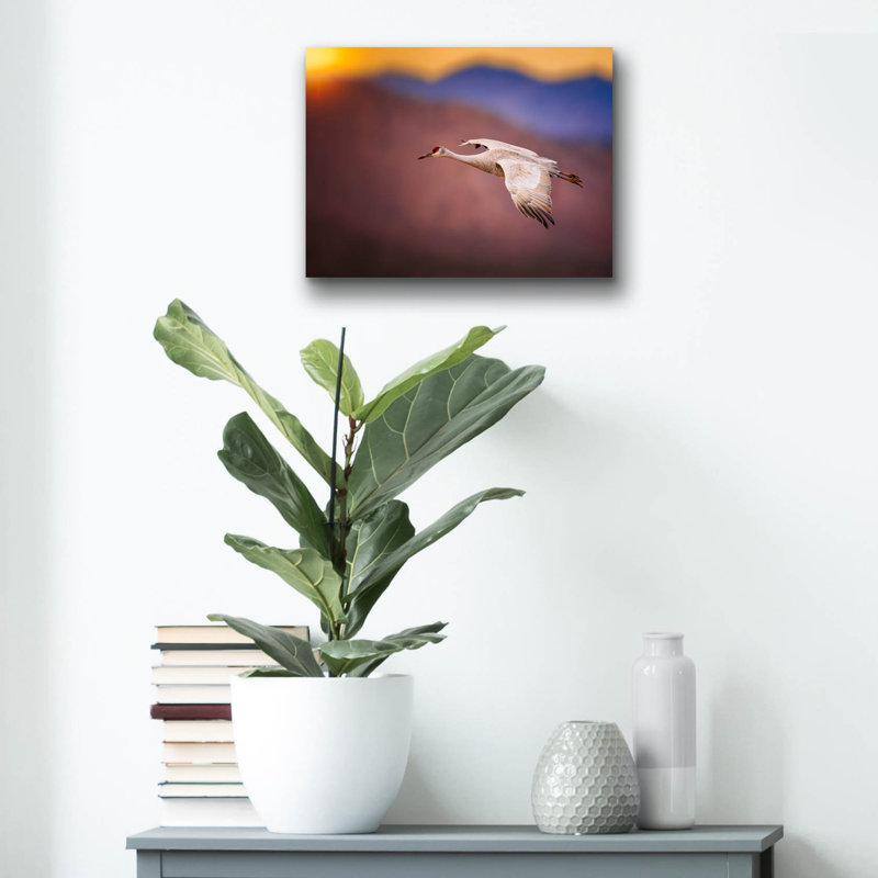 Art mural épique «Sunset Flight» par Jonathan Ross, verre acrylique, H 12 po x l 16 po x P 0,13 po