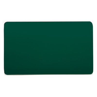 Trendi Switch Double Blanking Plate