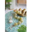 Guirlande 49 x 3 x 3 po-489525113-489525118