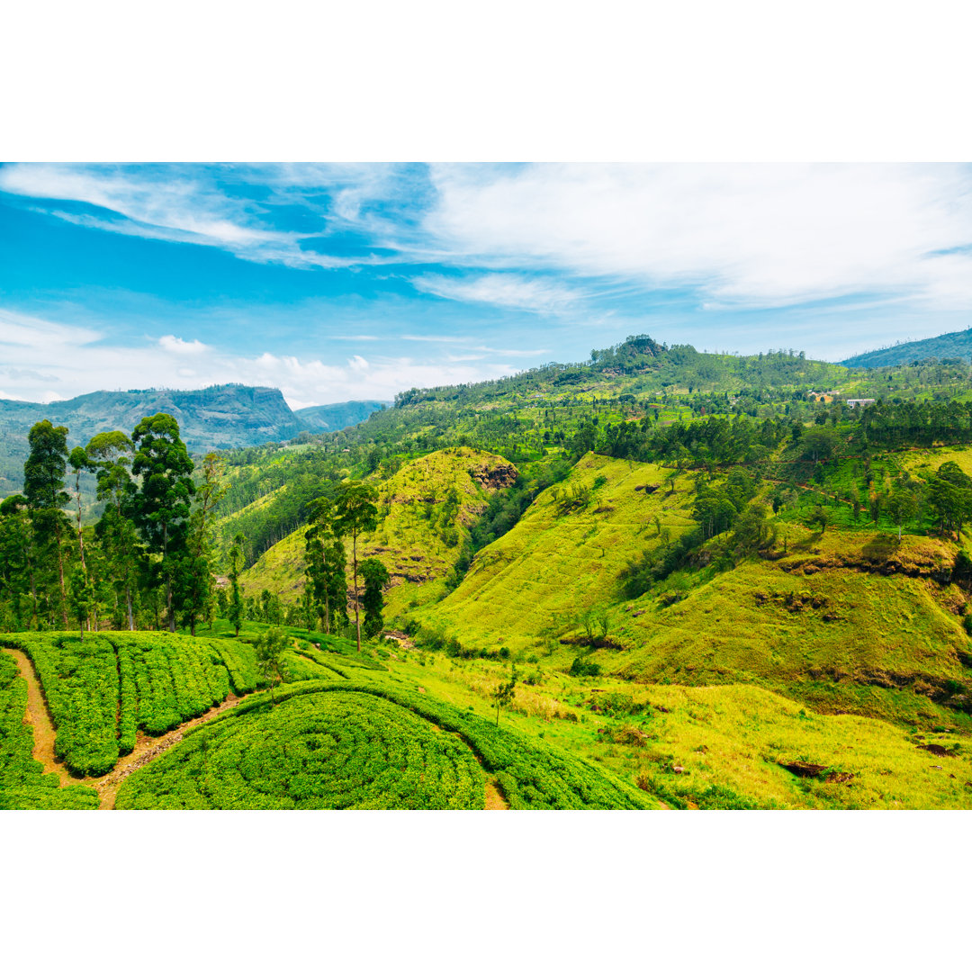 Wasserfalltal bei Nuwara Eliya von Danilovi - Drucken