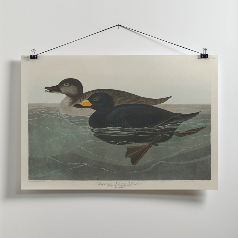 Wrapped Canvas Print, 81.28 cm H x 121.92 cm W
