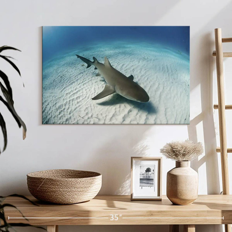 Brampt Lemon Shark Over The Seabed, 16" H x 24" W