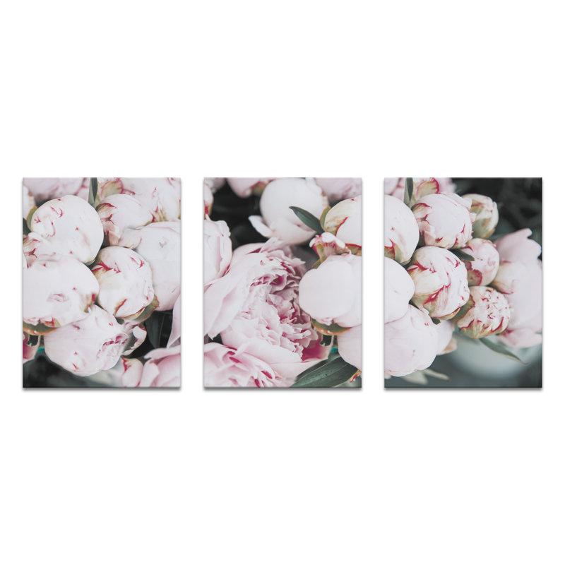 Pale Piose by Artist Lane - 3 Piece Print on Canvas, 51 cm H x 41 cm W